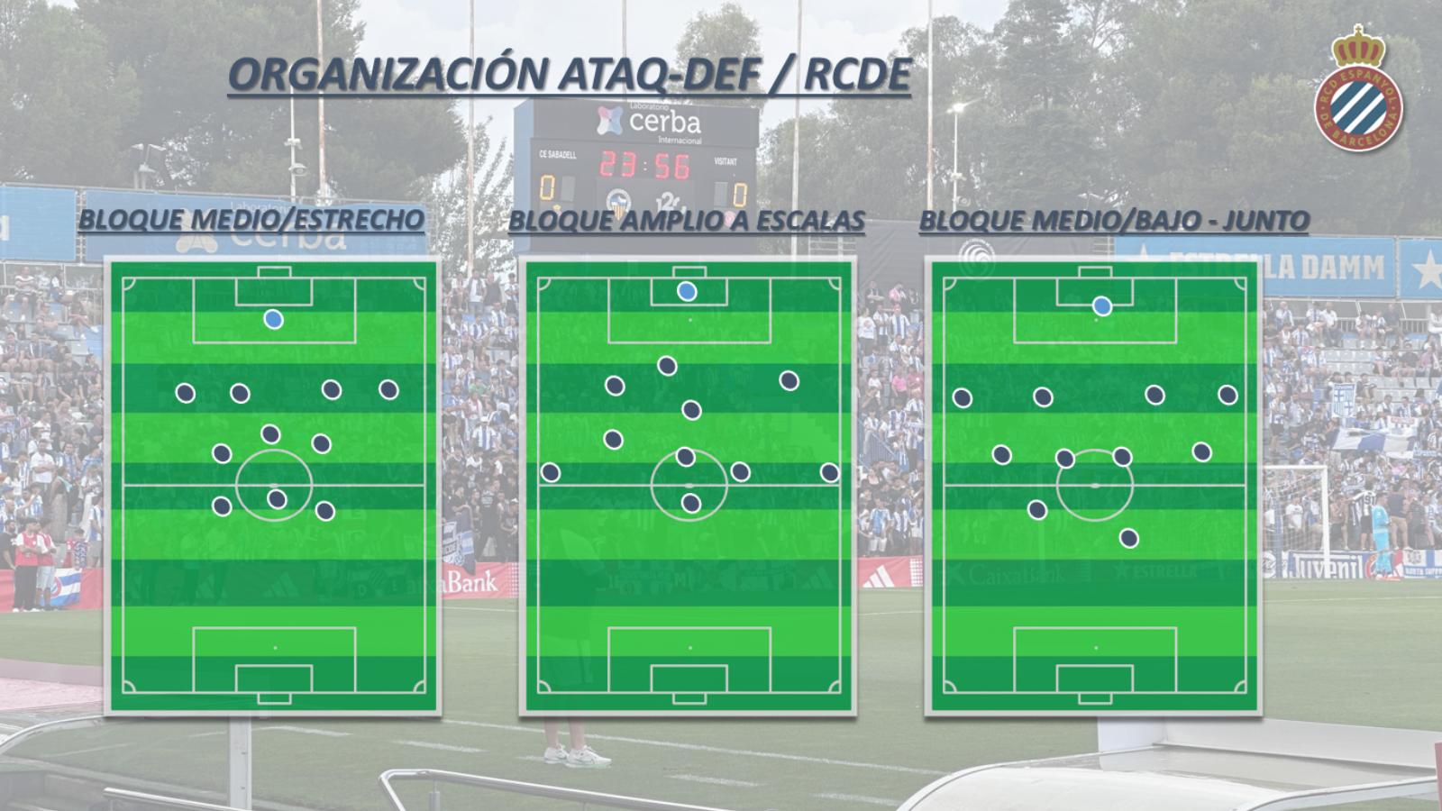 org def ataq para web