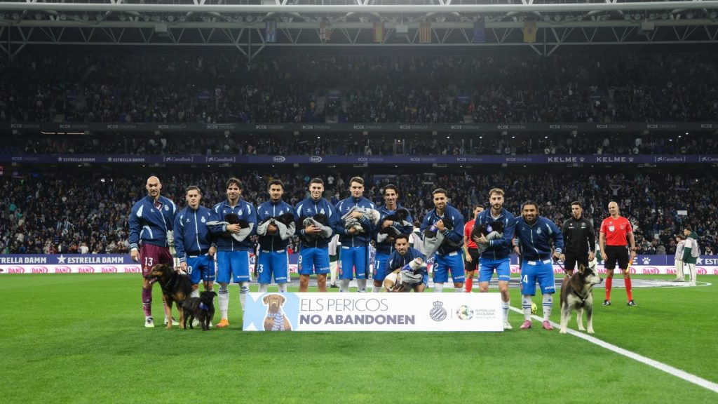 blog images 20251123 220954 0000