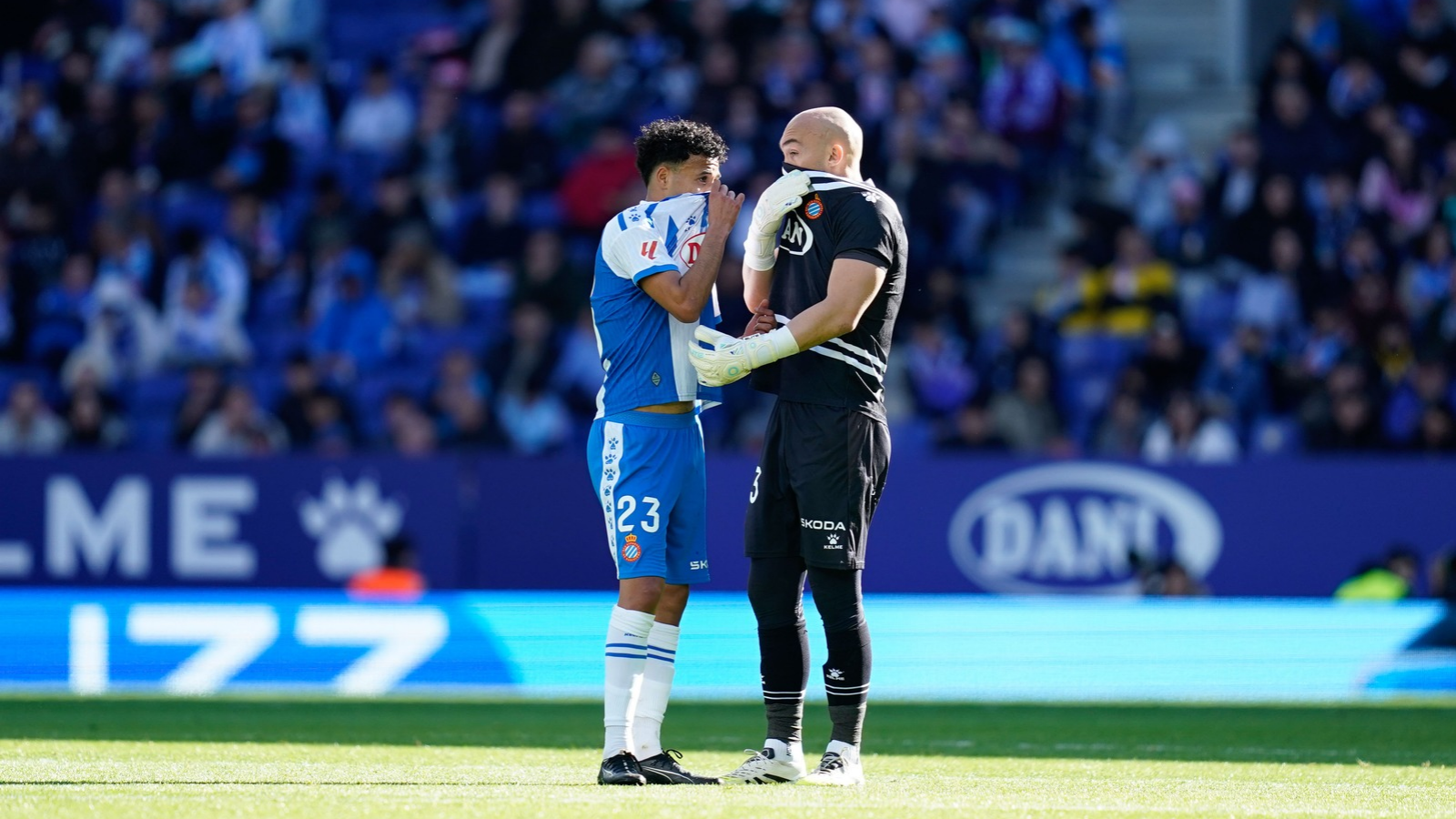 blog images 20260220 054454 0000